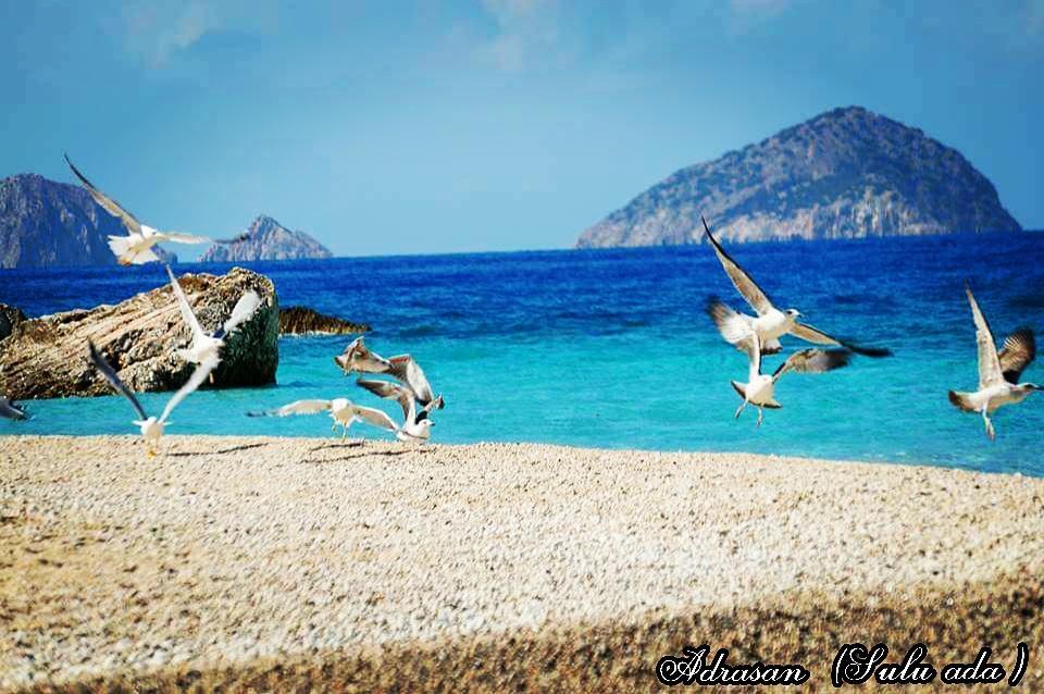 Adrasan Deniz Hotel 외부 사진