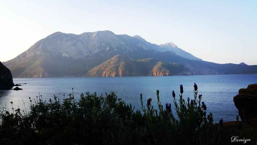 Adrasan Deniz Hotel 외부 사진